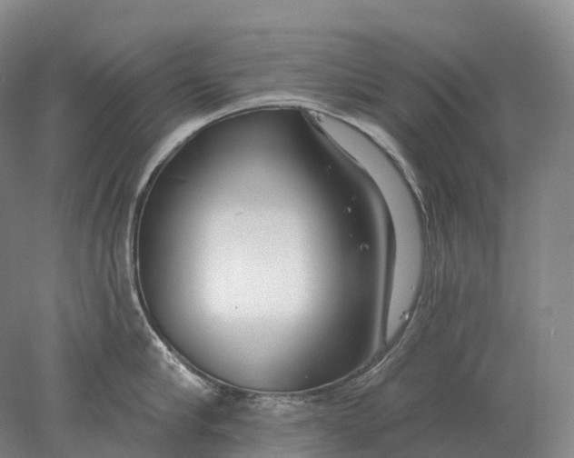 X0000078010910200611171843