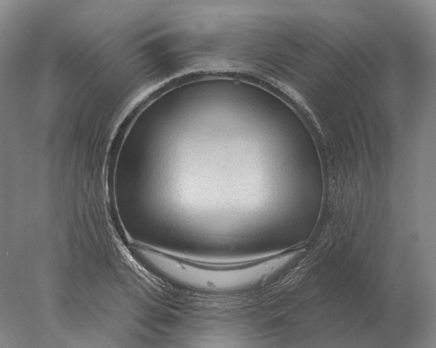 X0000078010935200611171842