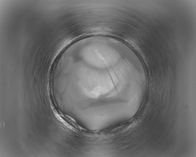 X0000078010941200611171843