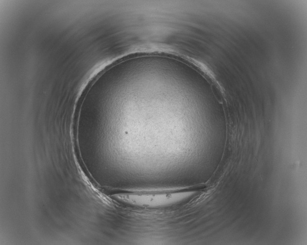 X0000078010943200611171843