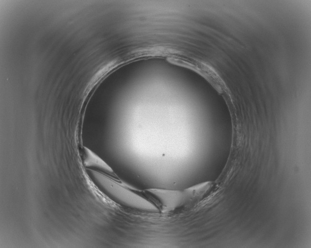 X0000078010946200611171843