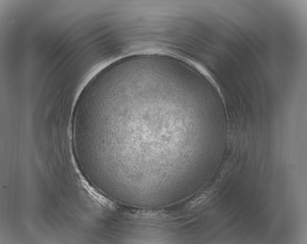 X0000078010951200611171843
