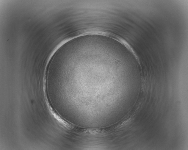X0000078010955200611171843
