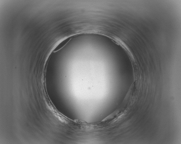 X0000078010956200611171843