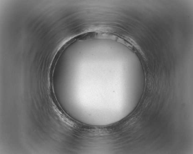 X0000078010980200611171842