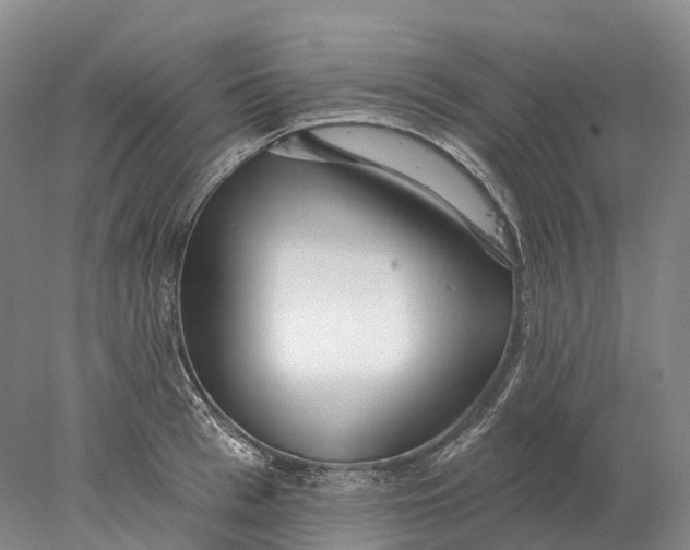 X0000078010993200611171842