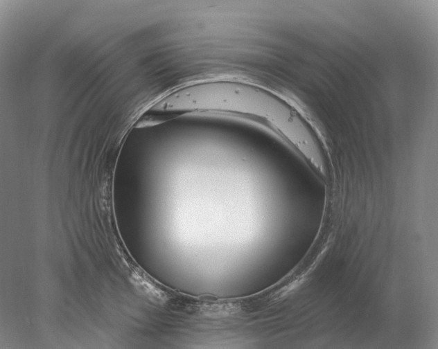 X0000078011001200611171841