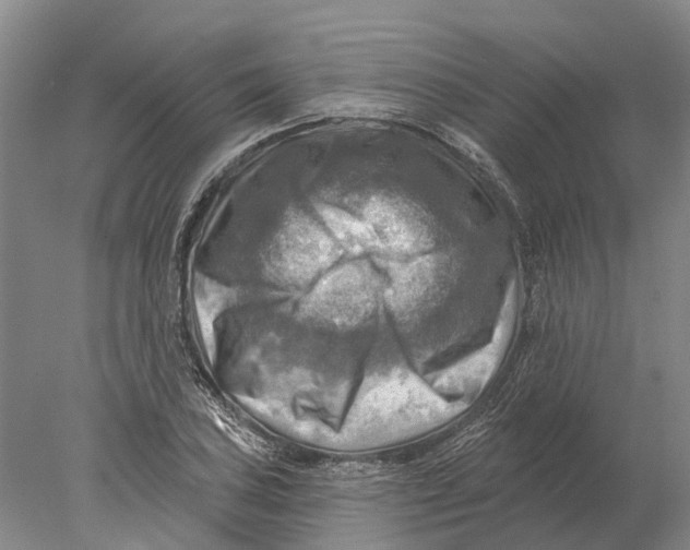 X0000078011027200611171841