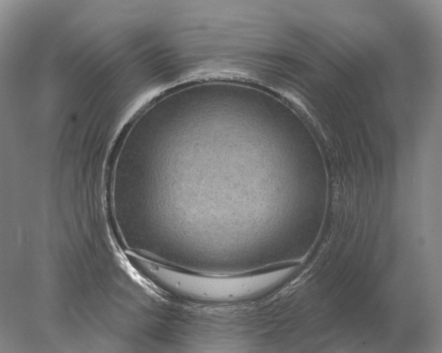 X0000078011038200611171841