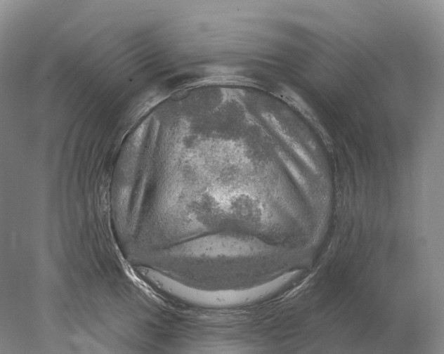 X0000078011049200611171841