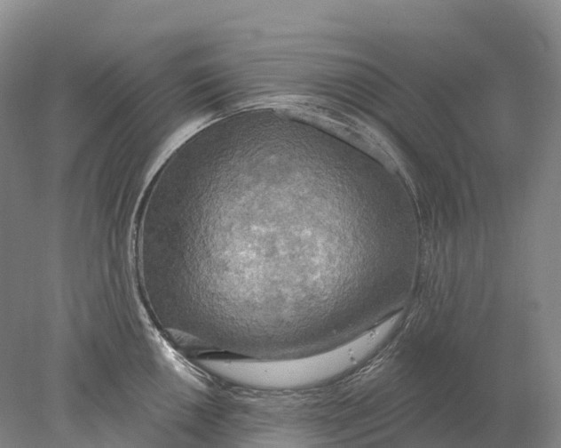 X0000078011050200611171841