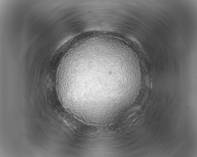 X0000078011064200611171840