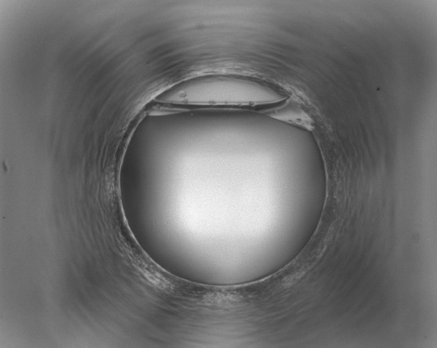 X0000078011073200611171840
