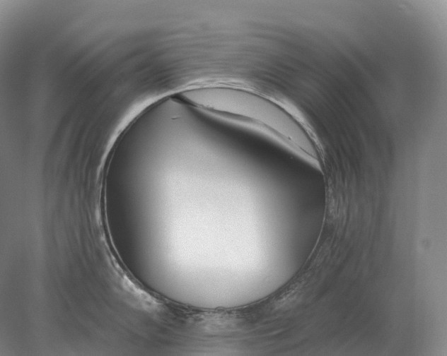X0000078011102200611171840