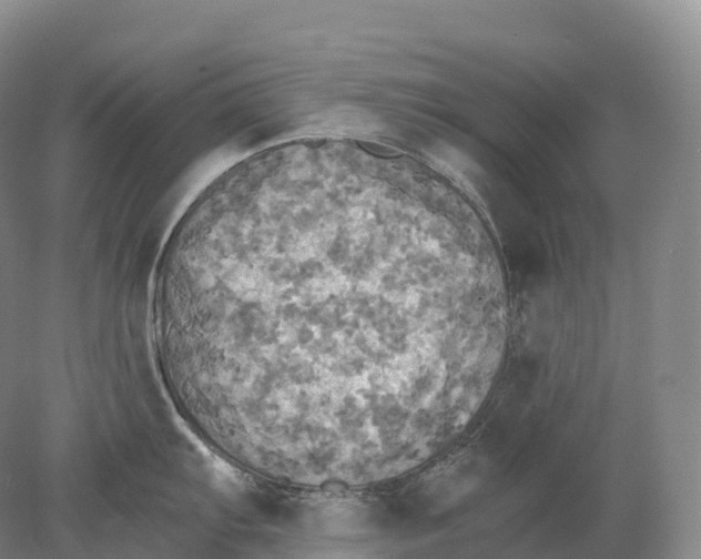X0000078011103200611171840