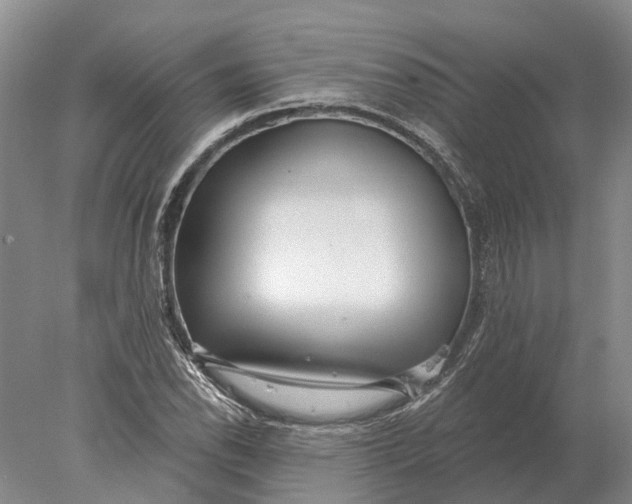 X0000078011118200611171839