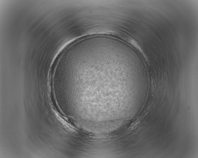X0000078011124200611171839