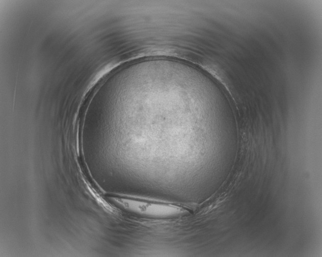 X0000078011127200611171839