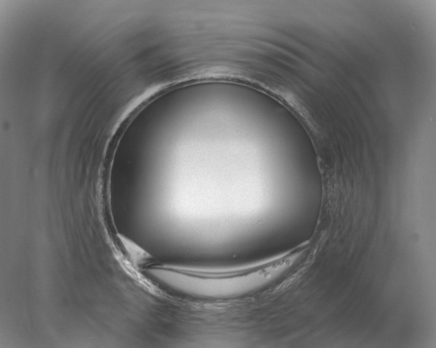 X0000078011134200611171839