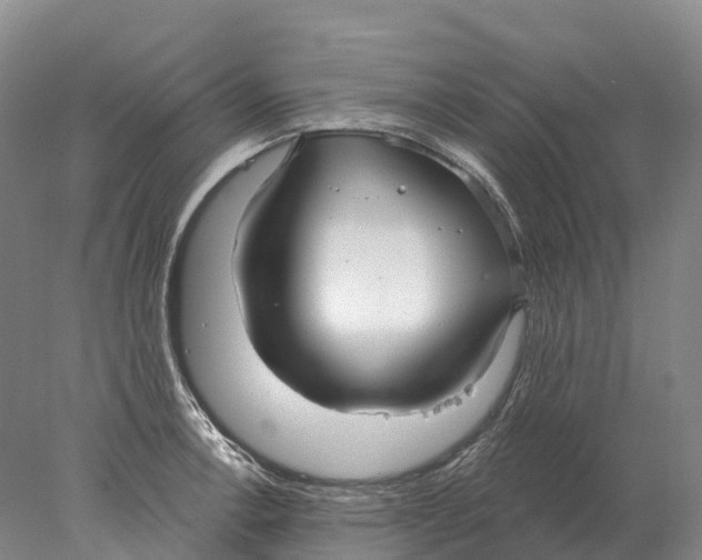 X0000078011138200611171839