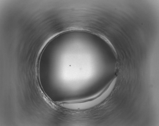 X0000078011148200611171840