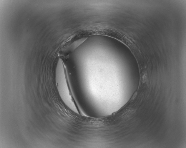 X0000078011156200611171839