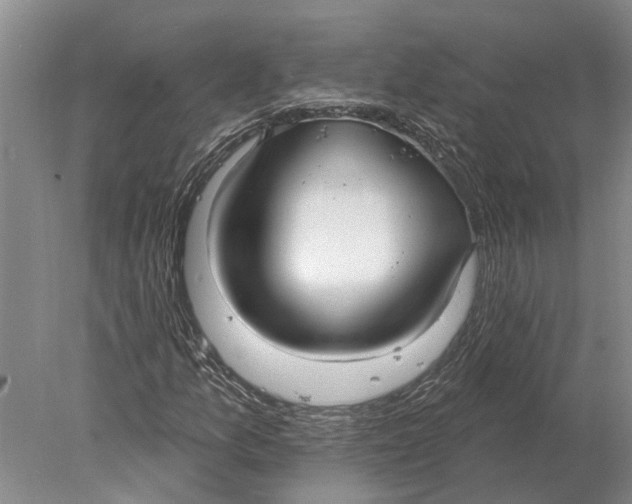 X0000078011157200611171839