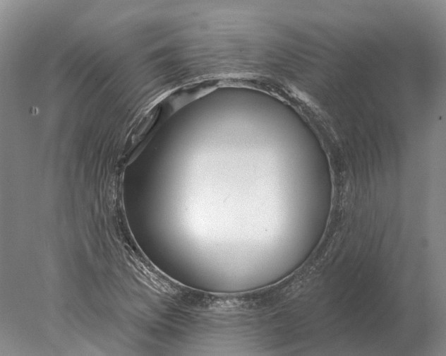X0000078011169200611171839
