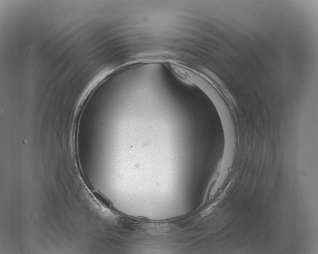 X0000078011196200611171838