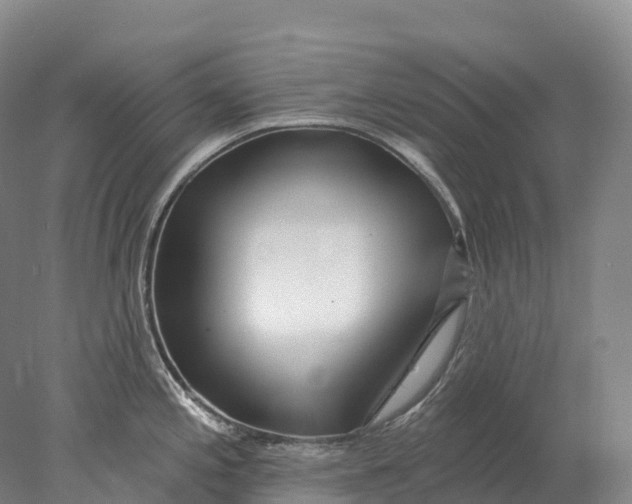 X0000078011197200611171838