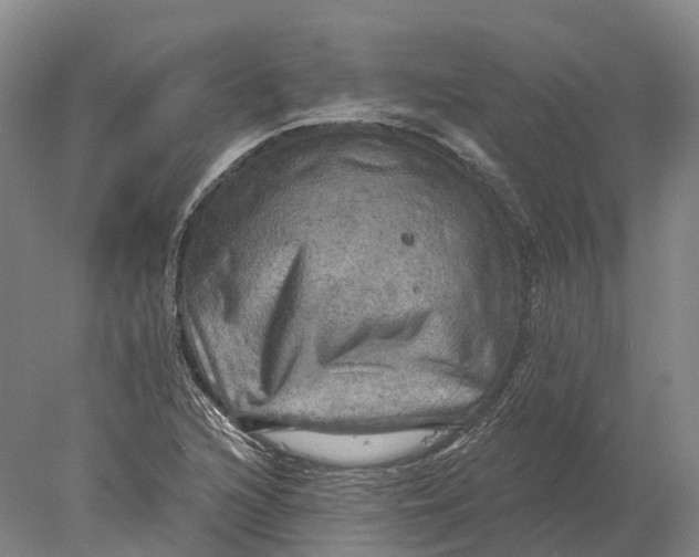 X0000078011216200611171837