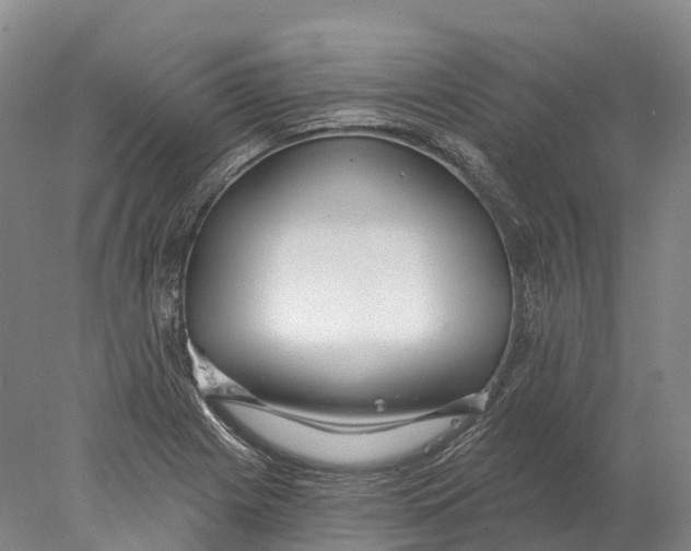 X0000078011225200611171838