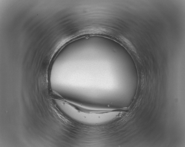 X0000078011226200611171838