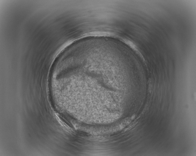 X0000078011229200611171838