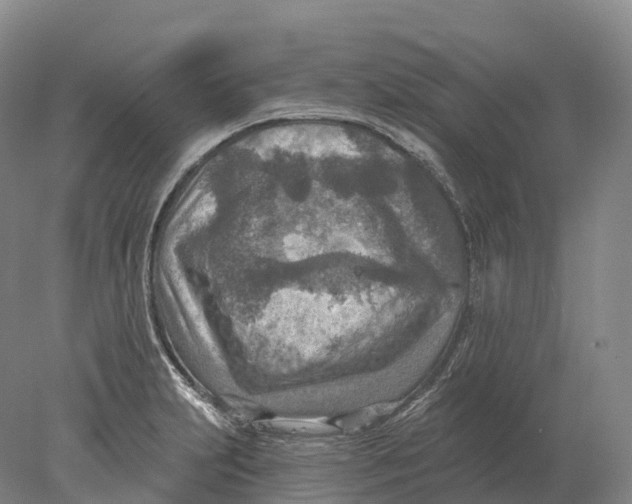 X0000078011231200611171838