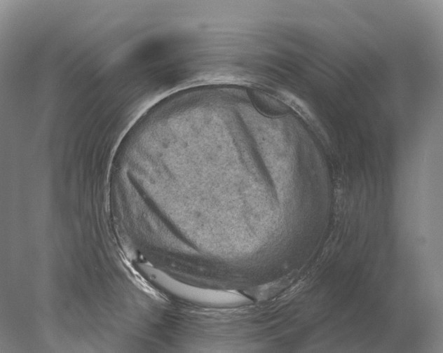 X0000078011236200611171838