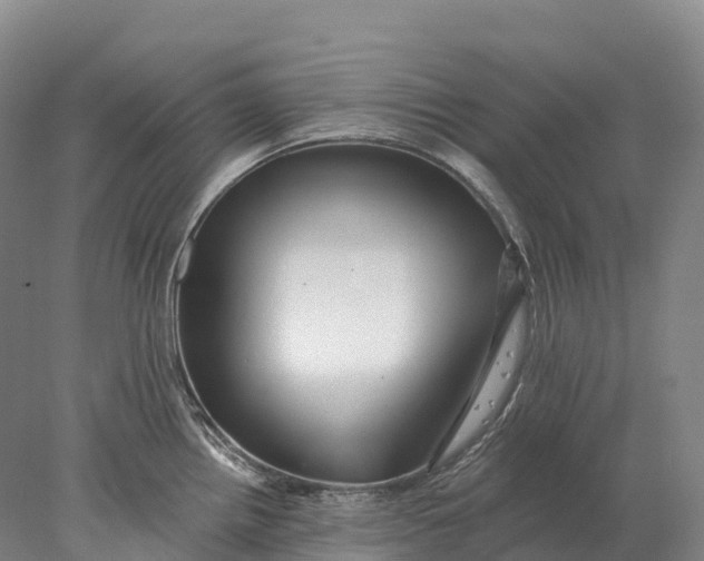 X0000078011242200611171838