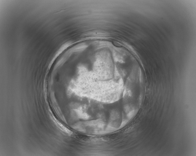 X0000078011243200611171838