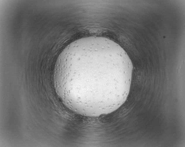 X0000078011249200611171837