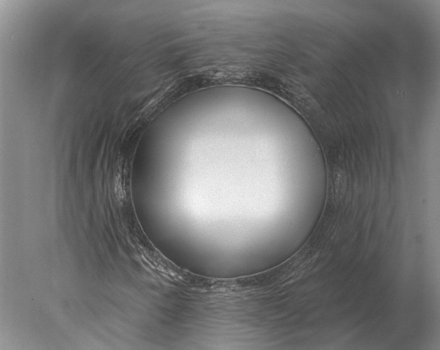 X0000078011250200611171837