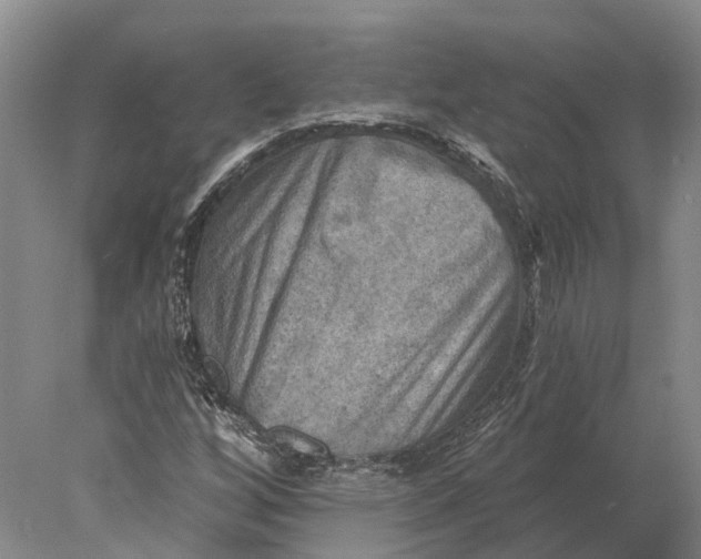 X0000078011256200611171837