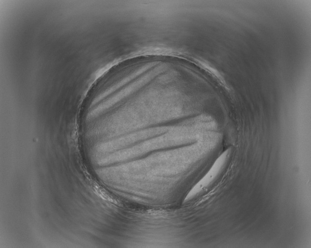 X0000078011264200611171837