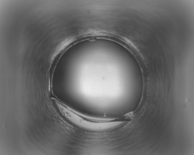 X0000078011269200611171837