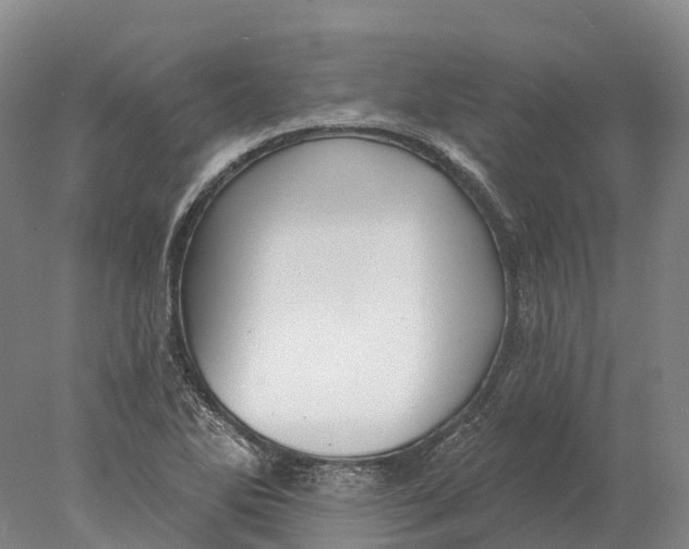 X0000078011270200611171837