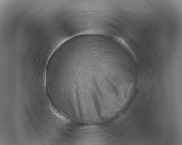 X0000078011276200611171837