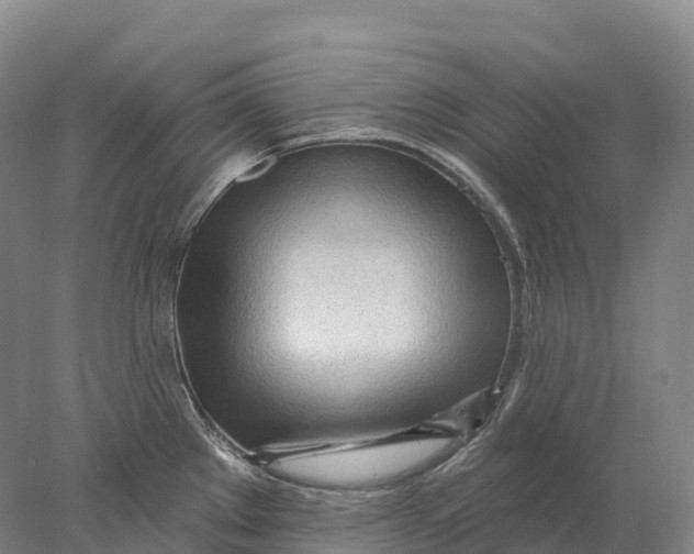 X0000078011289200611171837