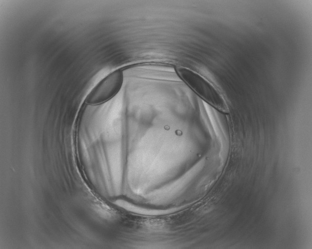 X0000078011291200611171837