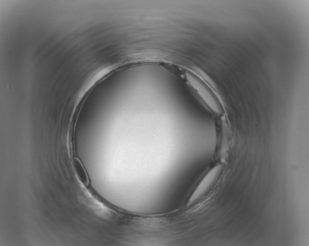 X0000078011293200611171836