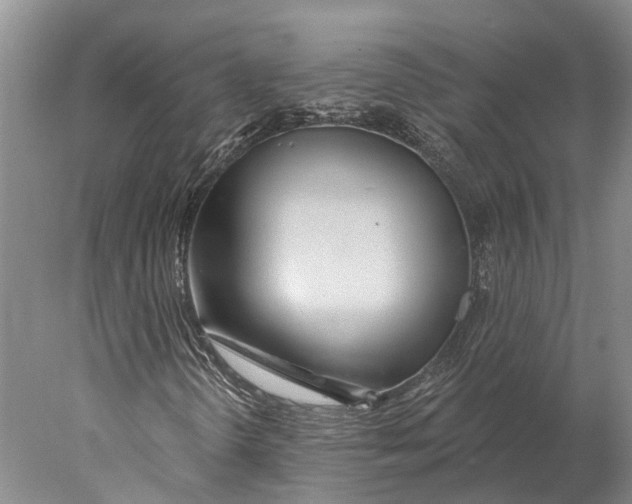 X0000078011298200611171836