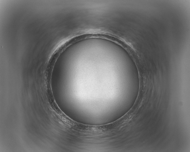X0000078011311200611171836